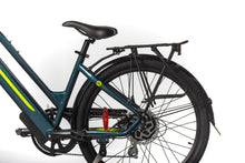 Load image into Gallery viewer, D1