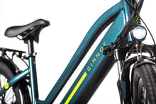 Load image into Gallery viewer, D1